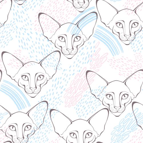 图像东方猫，可爱脸庞，白底装饰图案