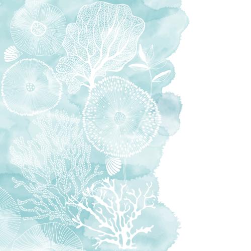 珊瑚。矢量图 抽象的海洋生物、珊瑚、海藻和贝壳，蓝色水彩图案碎片，白色背景的文本框