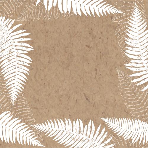 蕨类植物。矢量图 蕨类植物叶子 牛皮纸上的文本空间