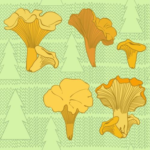 圣诞树。矢量图 鸡油菌，草地冷杉