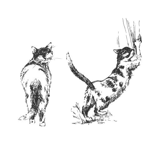 猫。矢量图 两只小猫：单色草图