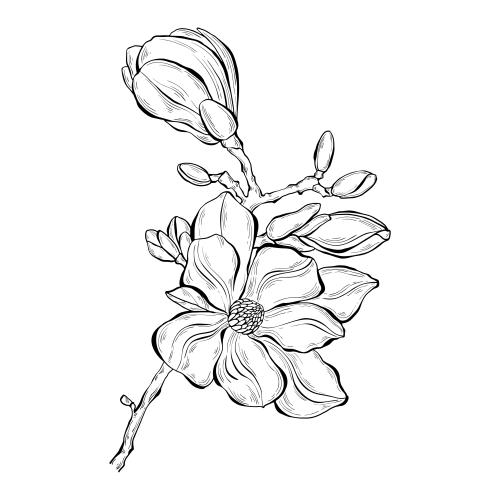 餐具印花矢量图 白底木兰