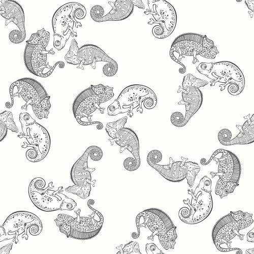 动物。矢量图 可爱的变色龙在白色上