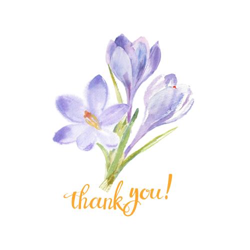 原创位图 水彩小番红花束与白色背景上的 thank you 字样