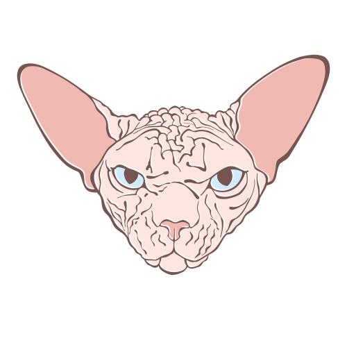 加拿大无毛猫。矢量图 加拿大无毛猫彩花脸底
