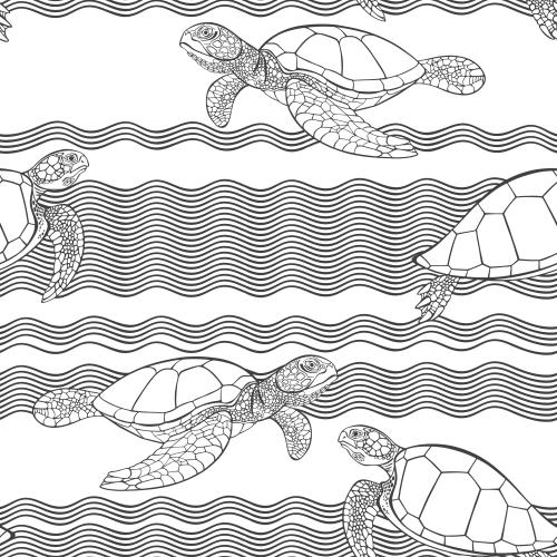 乌龟。矢量图 海龟与波浪白底