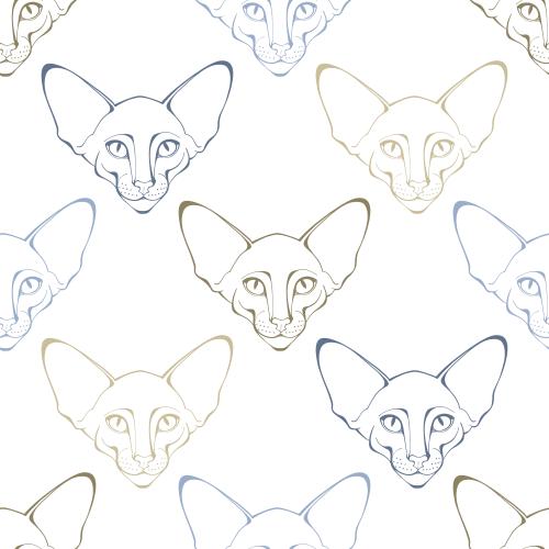 东方猫。矢量图 东方猫，白底多彩小脸轮廓