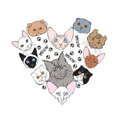 卷耳猫。矢量图 各种猫咪的面部图案、爪印、Meow字样及白色背景上的爱心图案设计