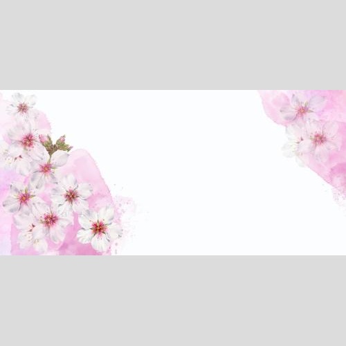 原创位图 粉色水彩碎片上的杏花带白色文字空间角构图