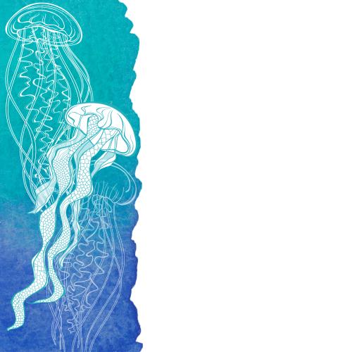 水母。矢量图 海蜇在蓝色水彩片段上，在白色上的文字空间