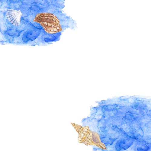 原创位图 蓝色水彩碎片背景上的贝壳，白色文本框，角落构图