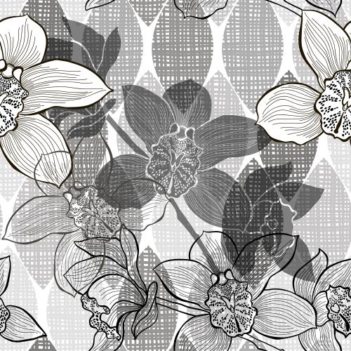 兰花。矢量图 花开在抽象的格子叶上