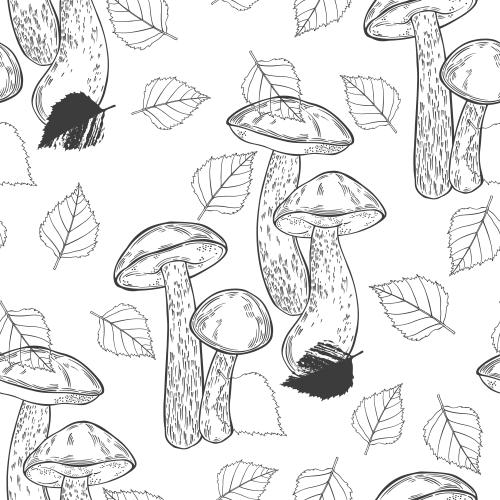矢量图片 桦树菇与桦树叶白底