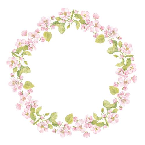 苹果花。矢量图 水彩花卉与苹果树叶圆框花环在白色背景上