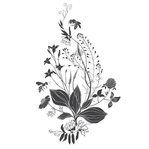 蜜蜂。矢量图 野花和杂草与蜜蜂的组合，白色背景