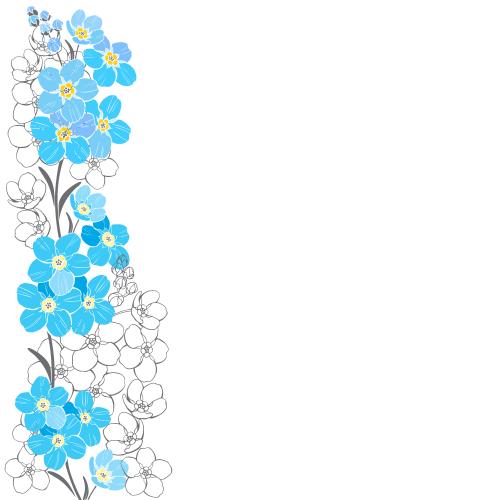 勿忘我花。矢量图 勿忘我白色文字区