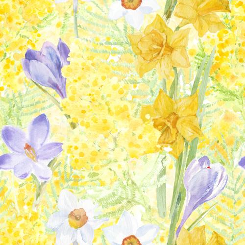 原创位图 水彩春天的花朵：含羞草、番红花和水仙花
