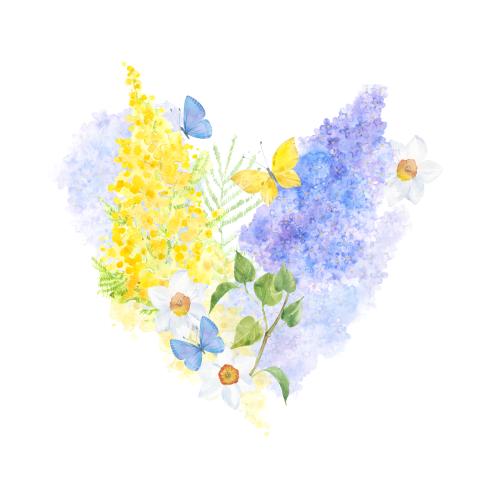 原创位图 水彩花卉心形丁香含羞草水仙花白底蝴蝶