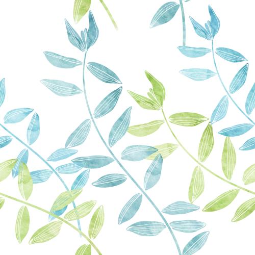 原创位图 水彩白底海藻