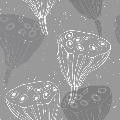 莲花。矢量图 莲花盒：灰色轮廓和剪影