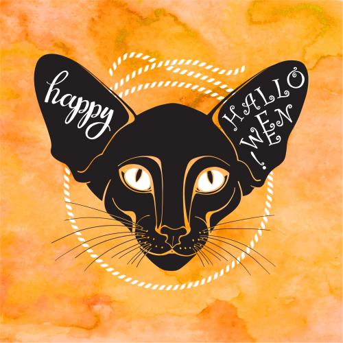 万圣节。矢量图 黑猫-绳索圈-Happy Halloween字样-橙色水彩