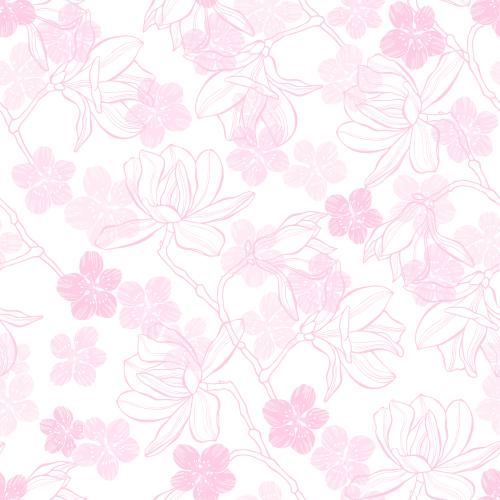 樱花。矢量图 白底玉兰樱花