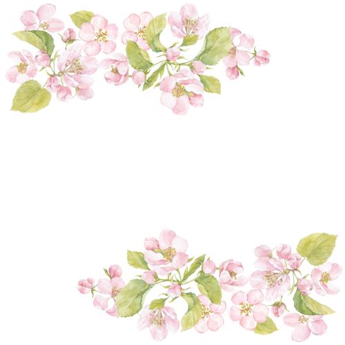 原创位图 水彩苹果花和树叶，白色文字区域