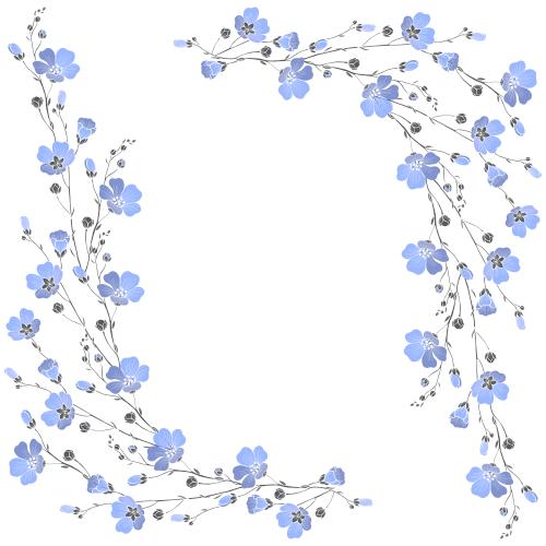 亚麻。矢量图 绽放亚麻的枝条，白色背景上的文字区域