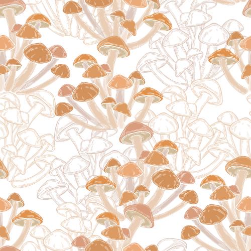 蘑菇。矢量图 蘑菇与白色背景上的彩色轮廓及剪影