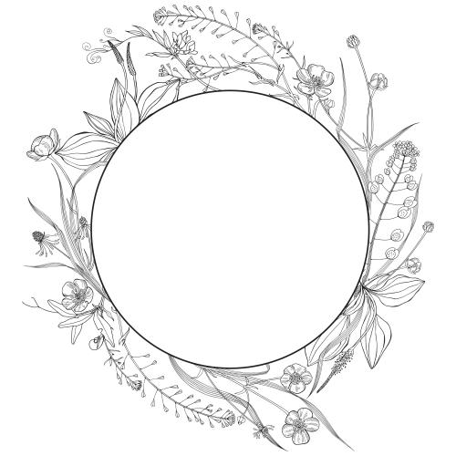 草。矢量图 圆形相框-野花野草、车前草、荠菜花、毛茛，白色背景