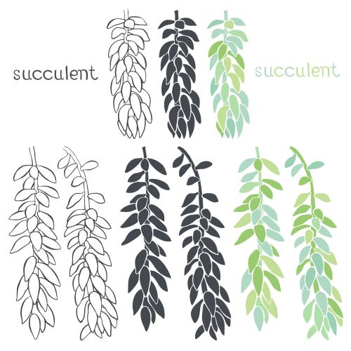 风信子。矢量图 多肉植物 - 白色背景上的不同模型