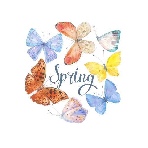 原创位图 水彩蝴蝶，白色背景上的文字spring