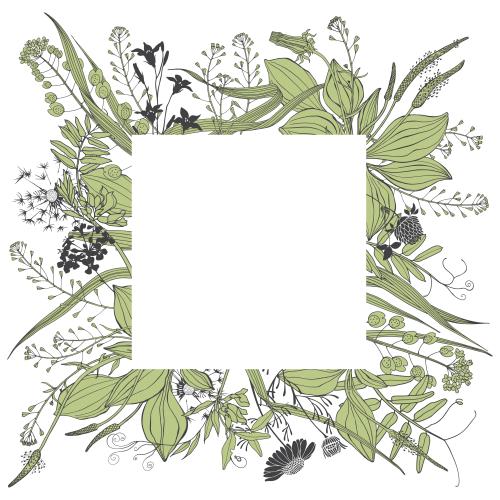 矢量图片 野花杂草方形文本框