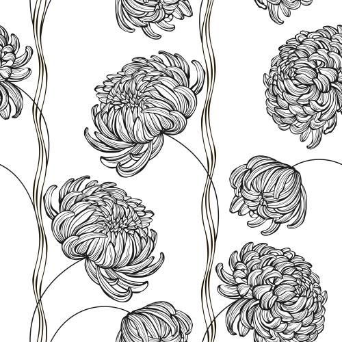 菊花。矢量图 菊花，白底波浪线
