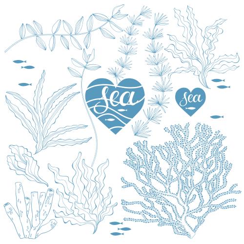 矢量图片 海藻、珊瑚、鱼、上面刻有“sea”字样的心形