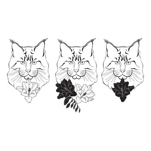 猫。矢量图 缅因猫，猫咪脸和白底上的花朵，三种款式