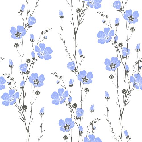 亚麻。矢量图 亚麻花枝与花蕾白底