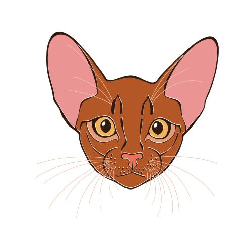 动物。矢量图 阿比西尼亚猫-白底彩绘可爱头像