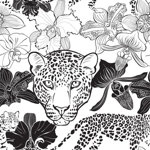 矢量图片 猎豹与兰花白底