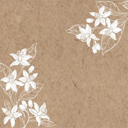 苦橙花油。矢量图 橙花牛皮纸角形留白设计