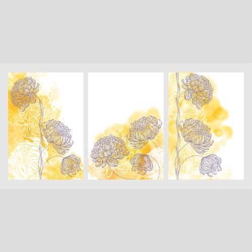 菊花。矢量图 三张黄色水彩背景的菊花明信片