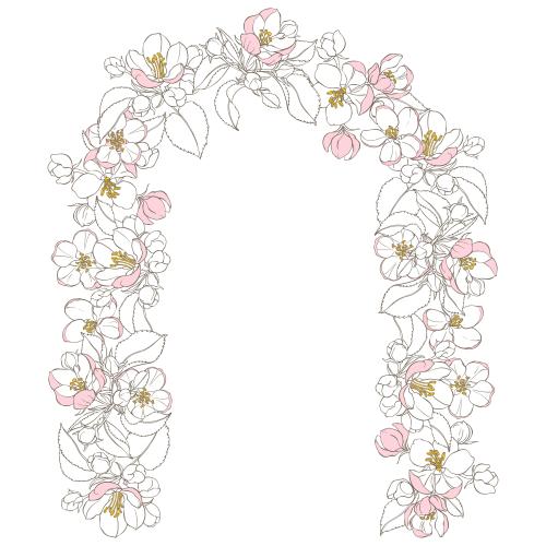苹果花。矢量图 白色苹果花拱门