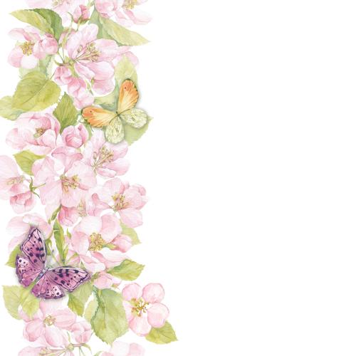 苹果花。矢量图 水彩花与苹果树叶的蝴蝶图案及文本区域