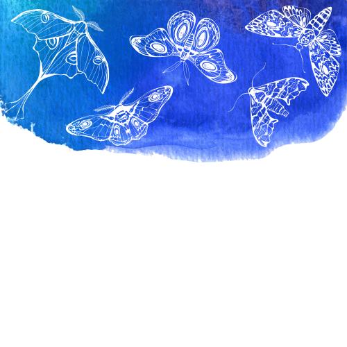 矢量图片 夜蝶蓝色水彩，白色留白区