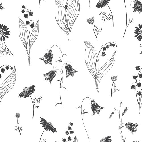 矢量图片 铃兰、风铃草、菊花、白色背景上的黑色轮廓