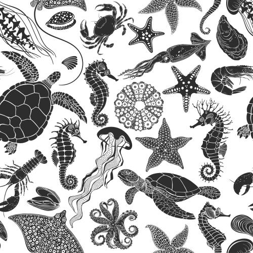 矢量图片 海洋生物：海龟、鱿鱼、鳐鱼、章鱼、龙虾、海马、水母等，白色背景上的黑色剪影