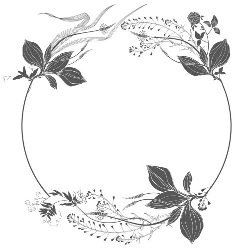 马齿苋。矢量图 白底草花花环相框