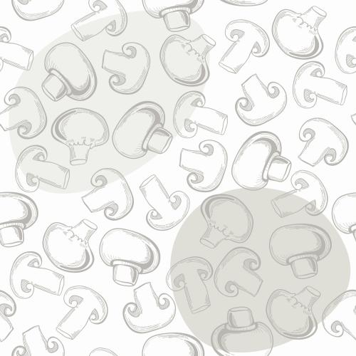 蘑菇。矢量图 白口蘑