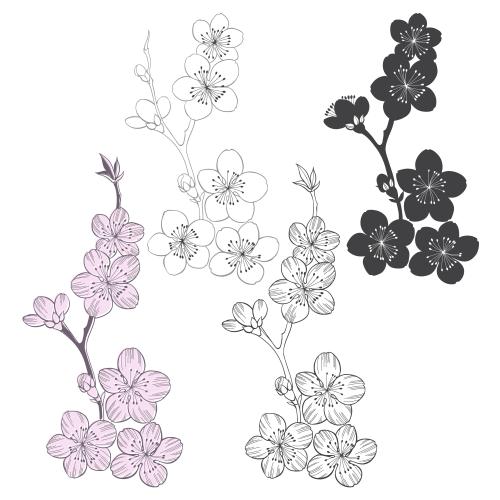 樱花。矢量图 盛开的樱花枝条，白色背景上的轮廓和剪影，四种款式