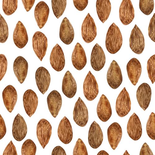 原创位图 白色背景上的杏仁坚果